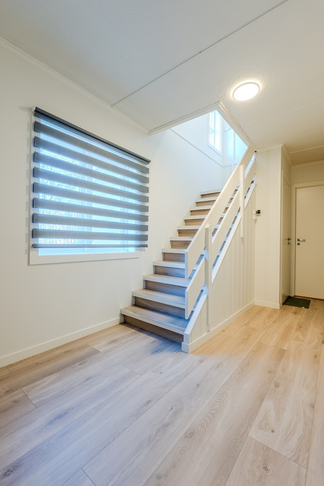 Trappegang Galleribilde