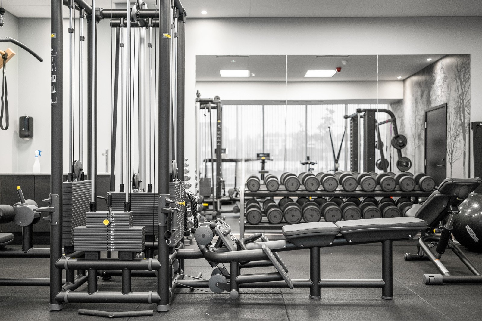 Eget treningsrom. Galleribilde