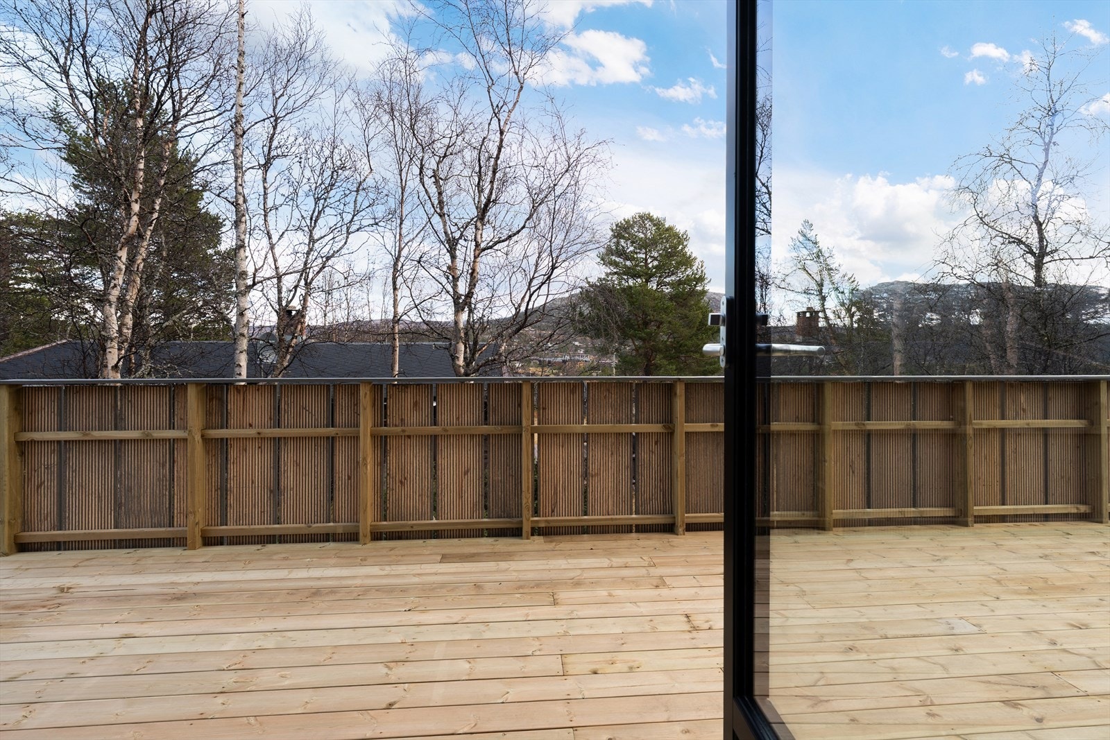 311355_DSC05537.jpg Galleribilde