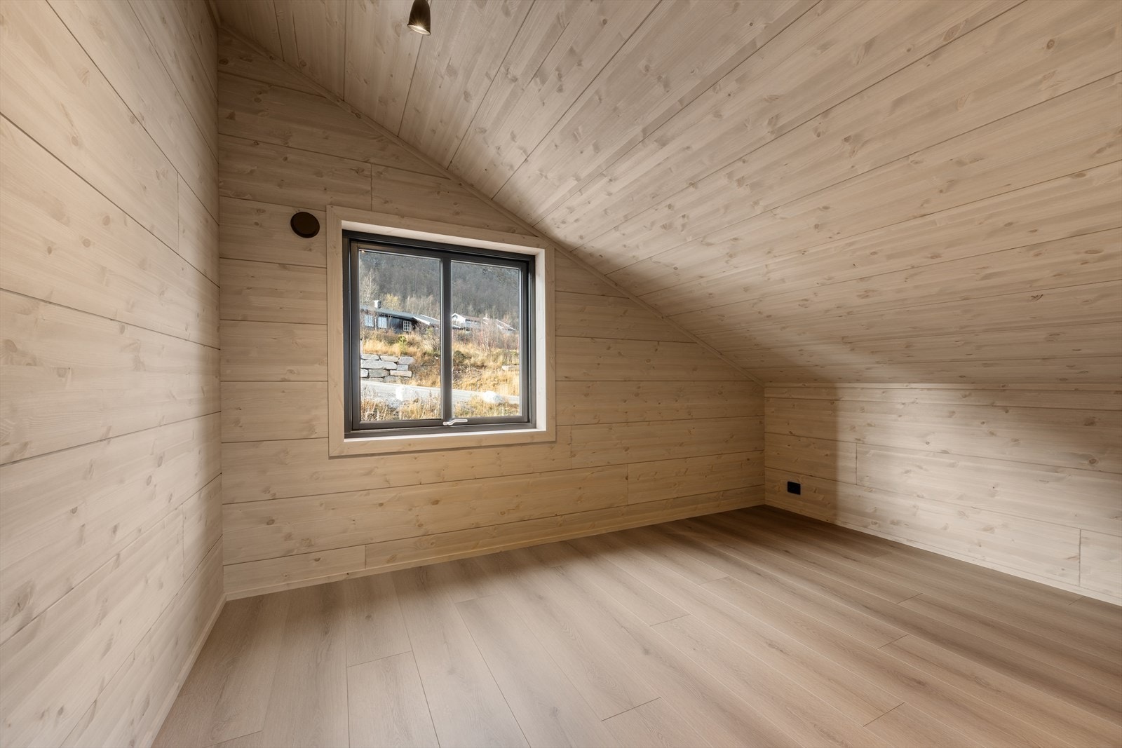 311355_DSC05379.jpg Galleribilde