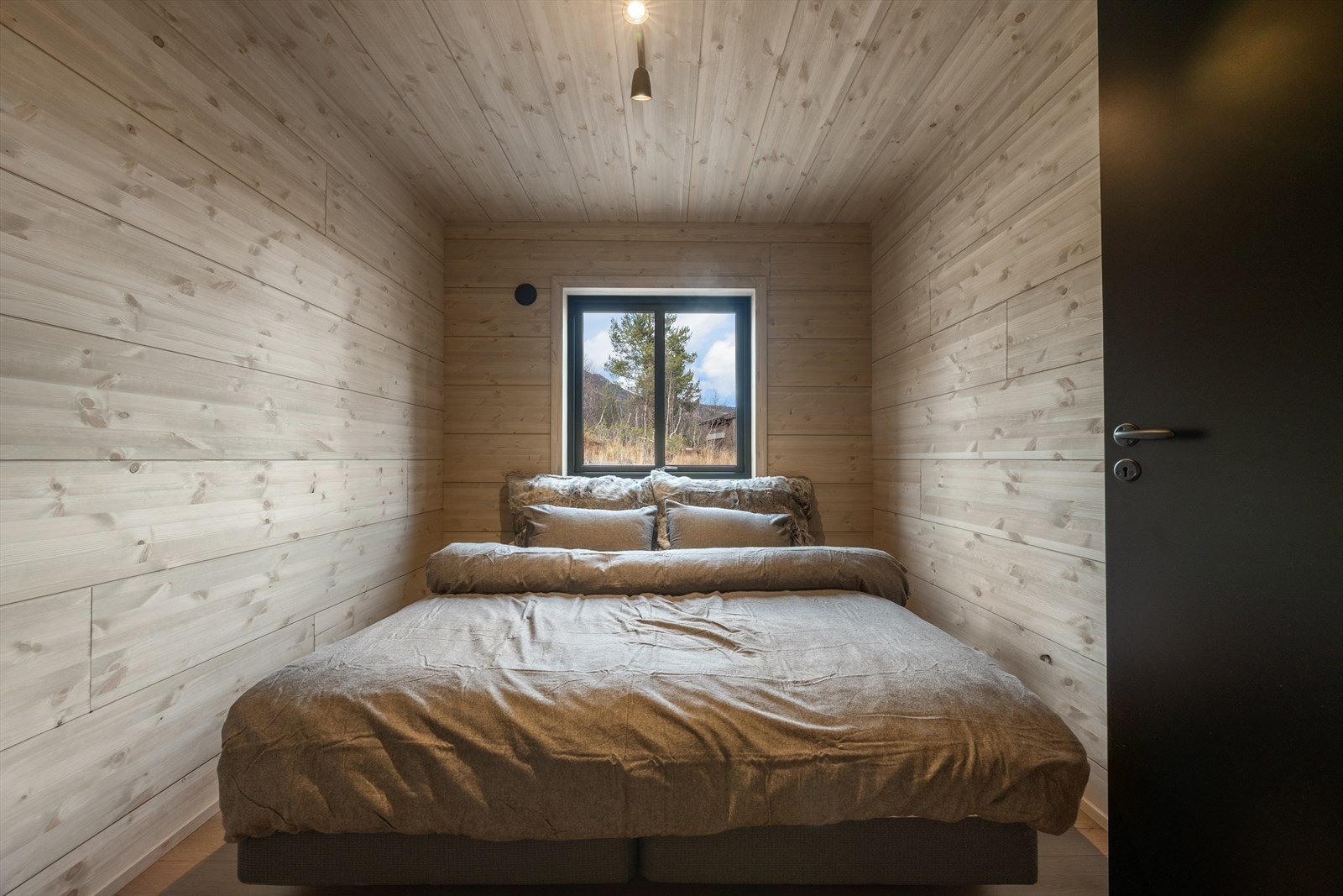 311355_DSC05444.jpg Galleribilde