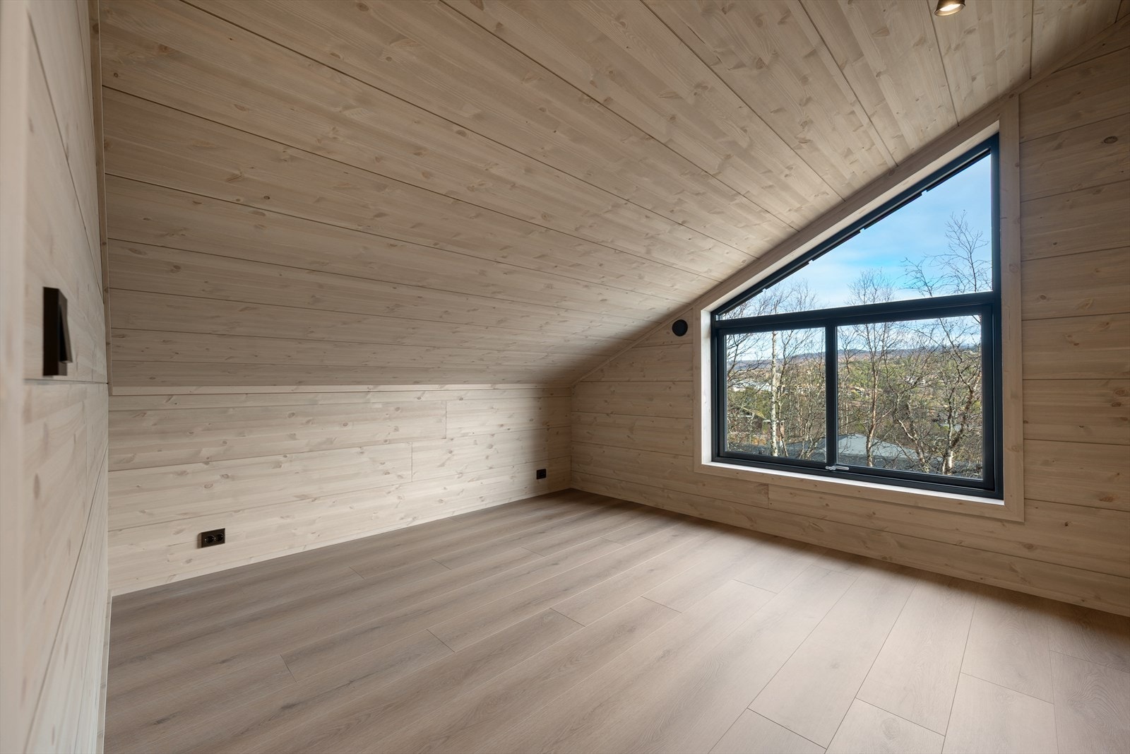 311355_DSC05394.jpg Galleribilde