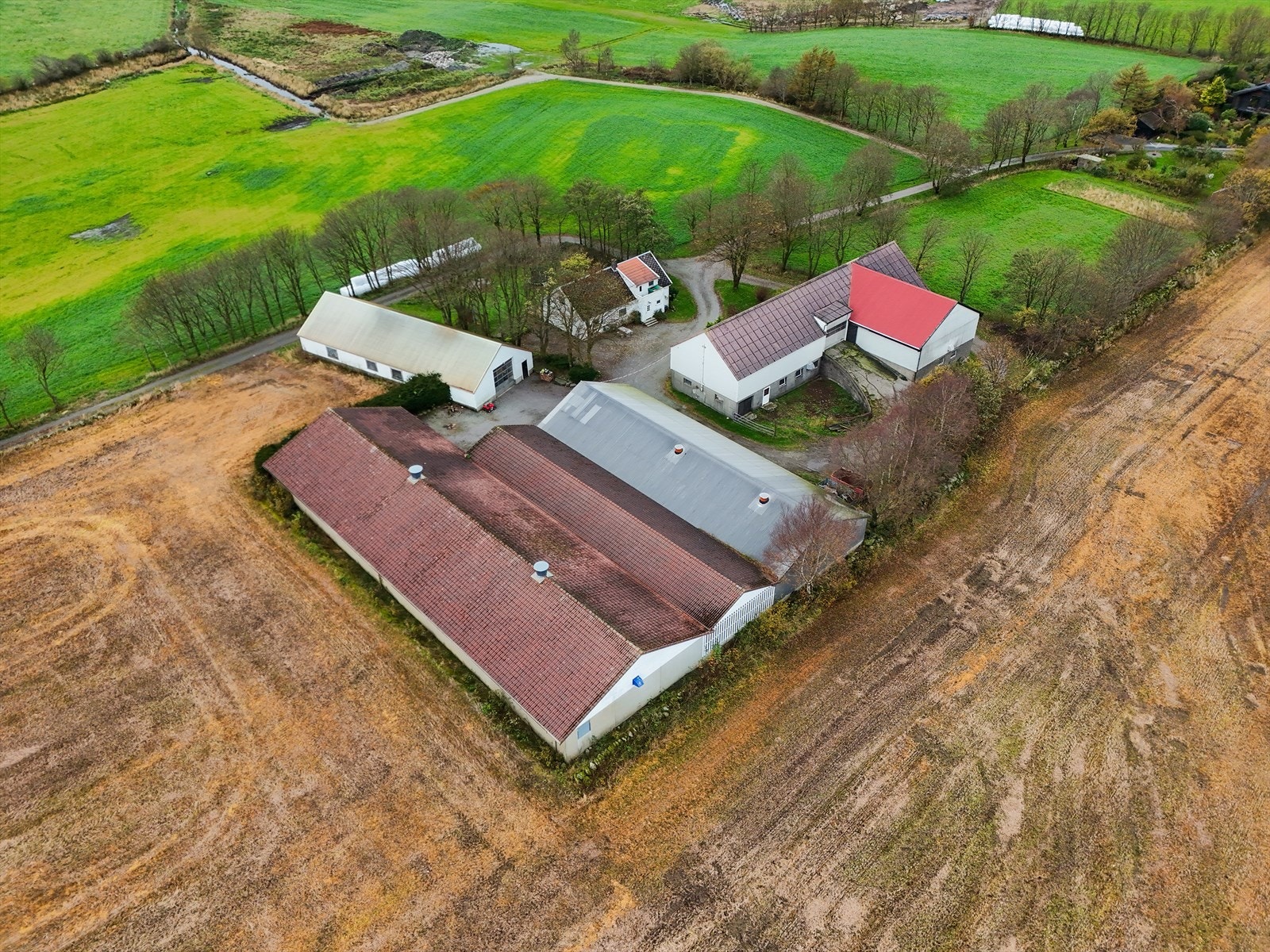 En eldre enebolig med flere driftsbygninger Galleribilde