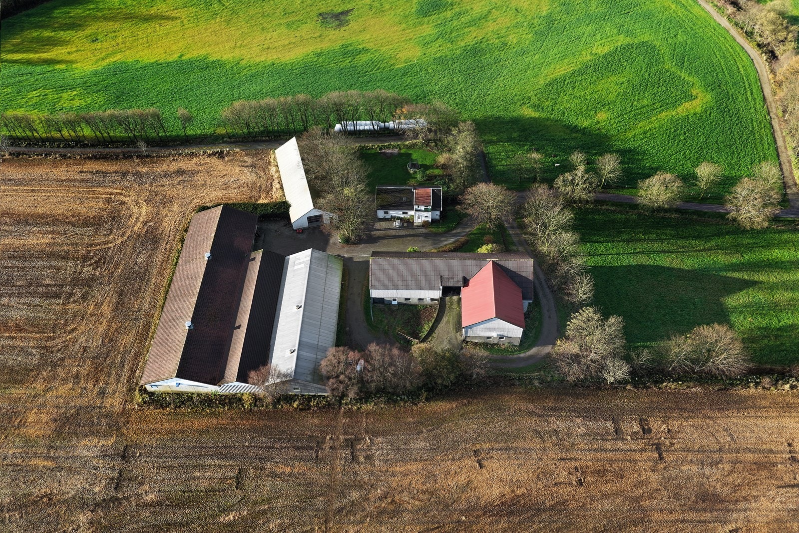 Tomten er på hele 4273 m2 Galleribilde