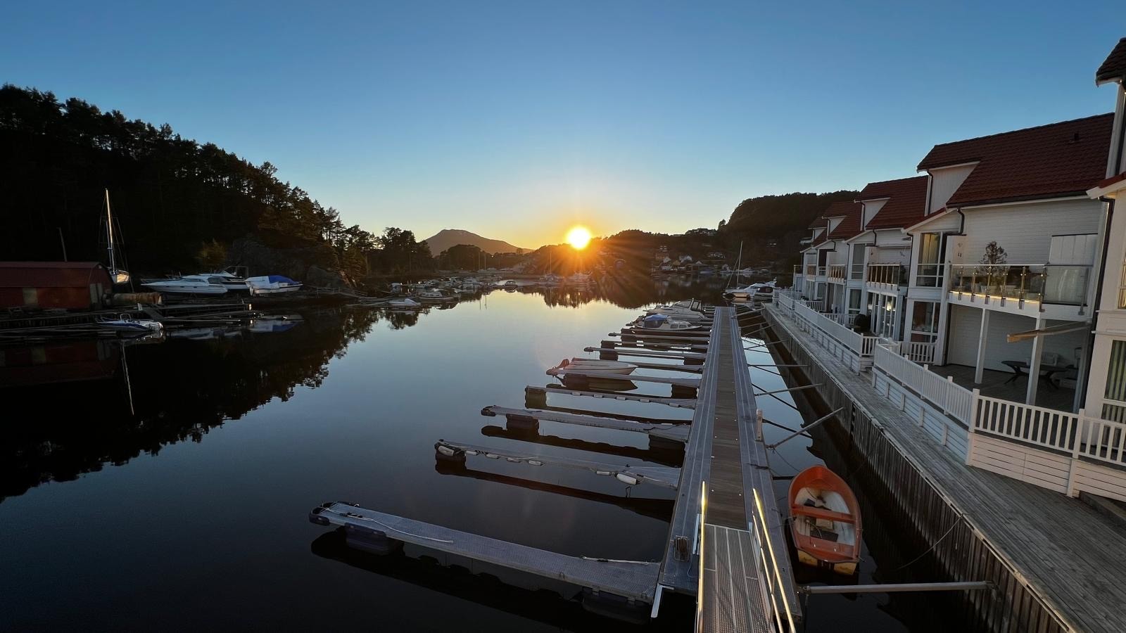 Selgers egne bilder Galleribilde