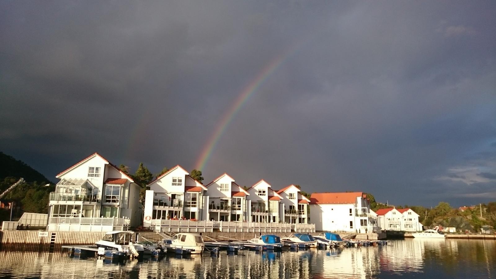 Selgers egne bilder Galleribilde