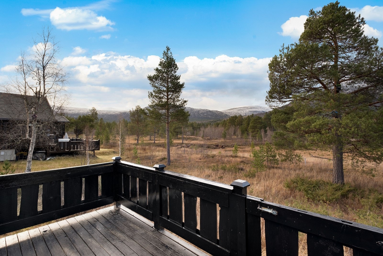 Fra terrassen er det uhindret utsyn mot skog og fjellområder. Galleribilde