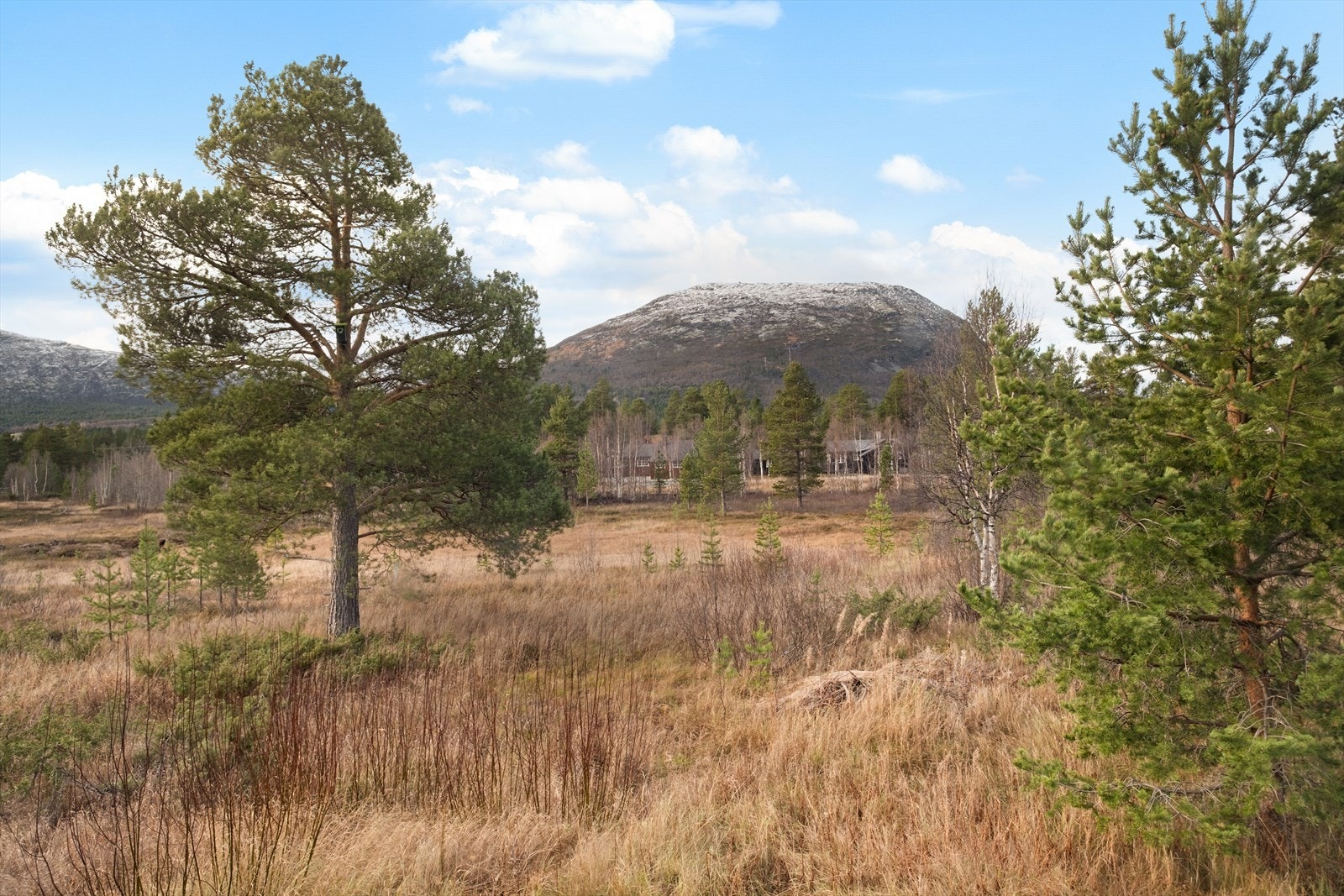 Utsyn mot naturskjønt landskap med fjell i bakgrunnen gir en rolig atmosfære. Galleribilde