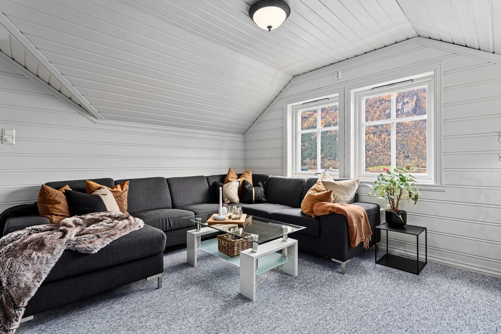 Perfekt avlastningsområde både for både store og små. Galleribilde