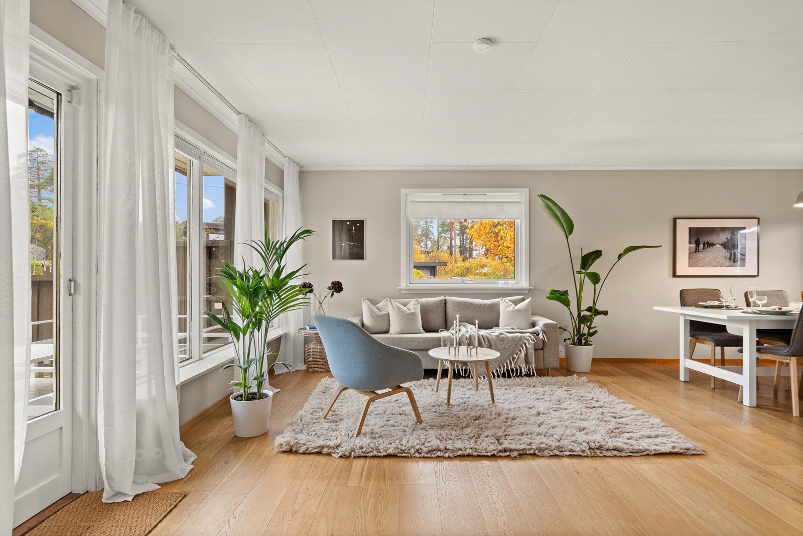 Lyst og lekkert Galleribilde