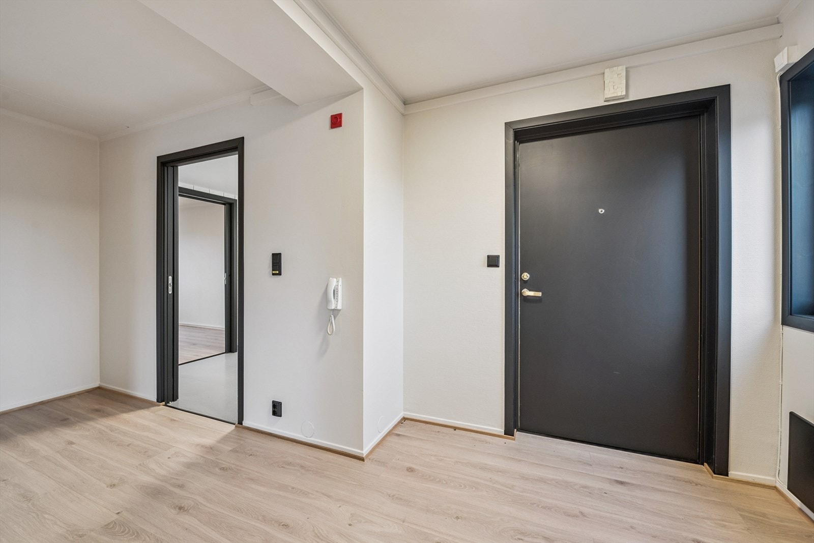 Èntre/gang. Galleribilde