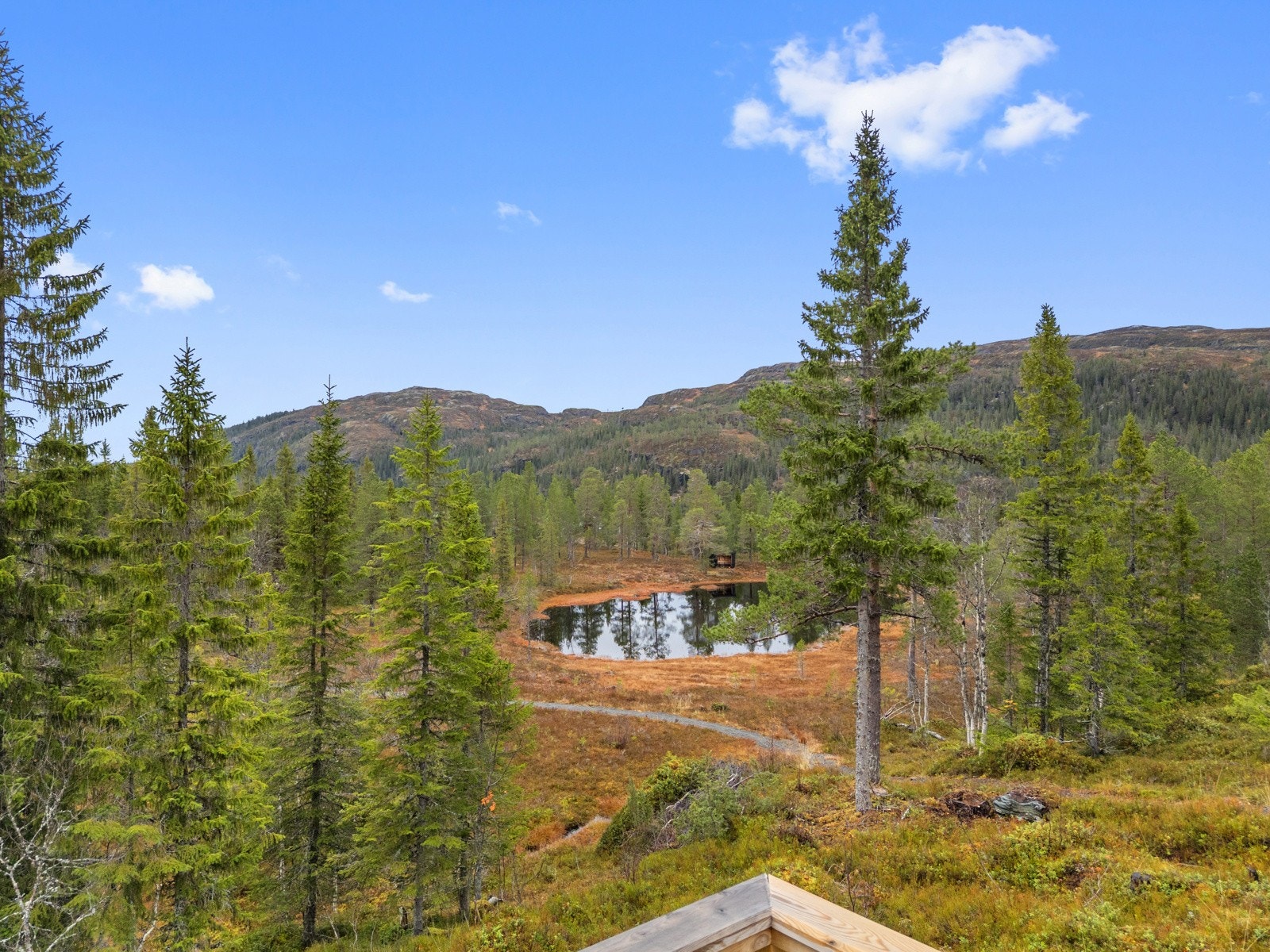 Om vinteren prepareres det milevis med oppkjørte skiløyper i og rundt Sandvika. Galleribilde