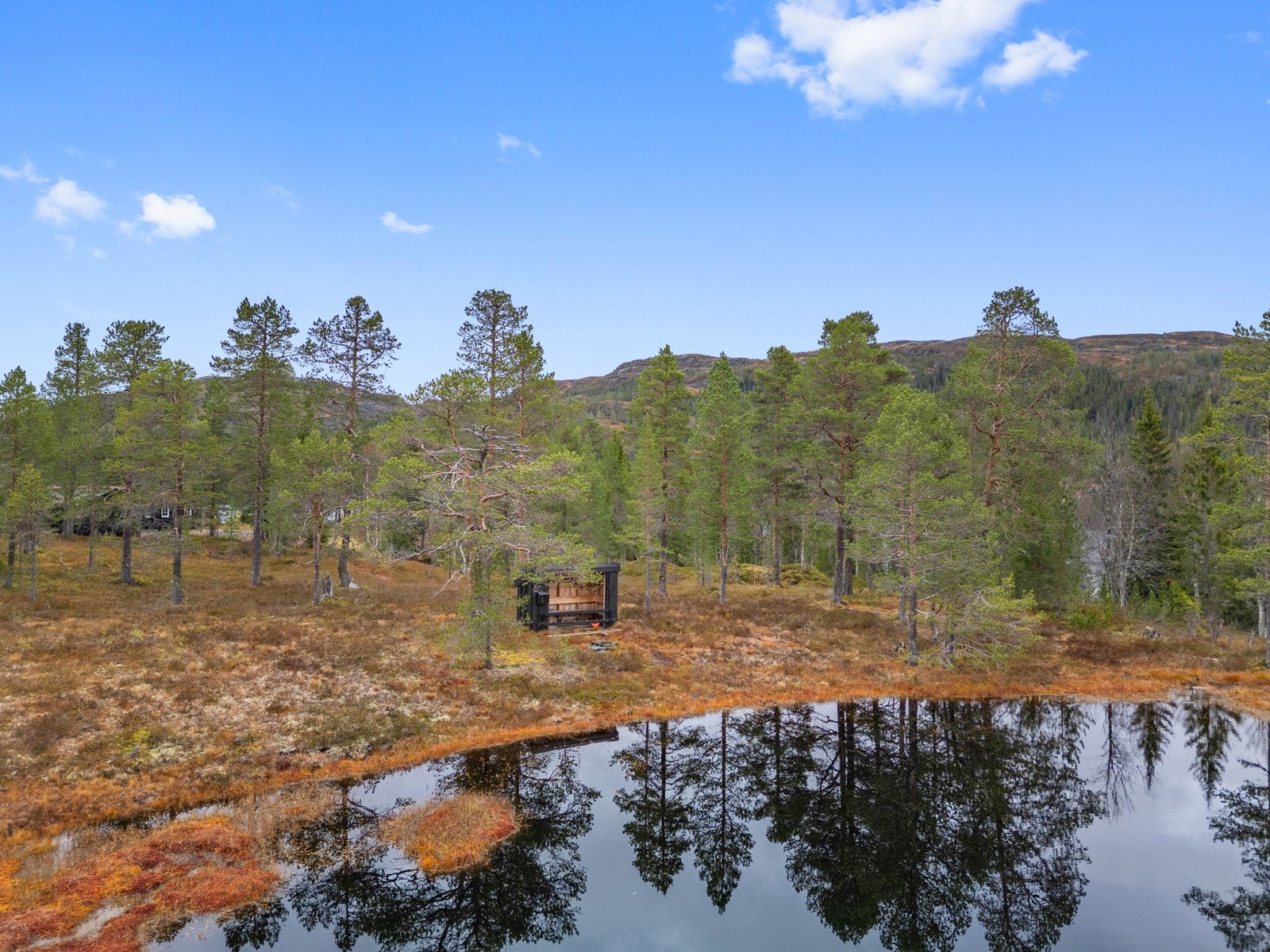 Fin liten tjønn som speiler omgivelsene like nedenfor hytta. Galleribilde