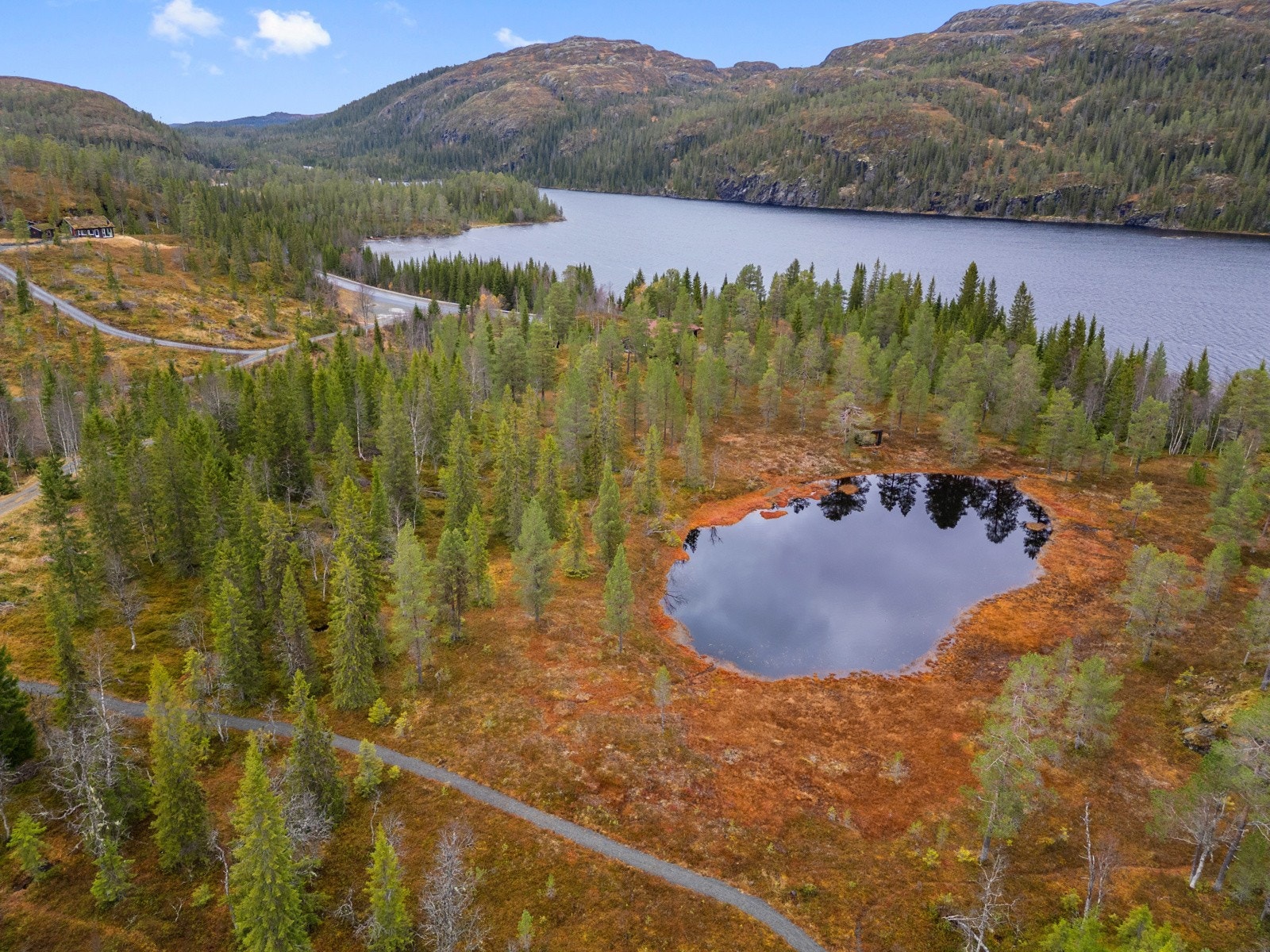 Velkommen til visning - husk påmelding! Galleribilde