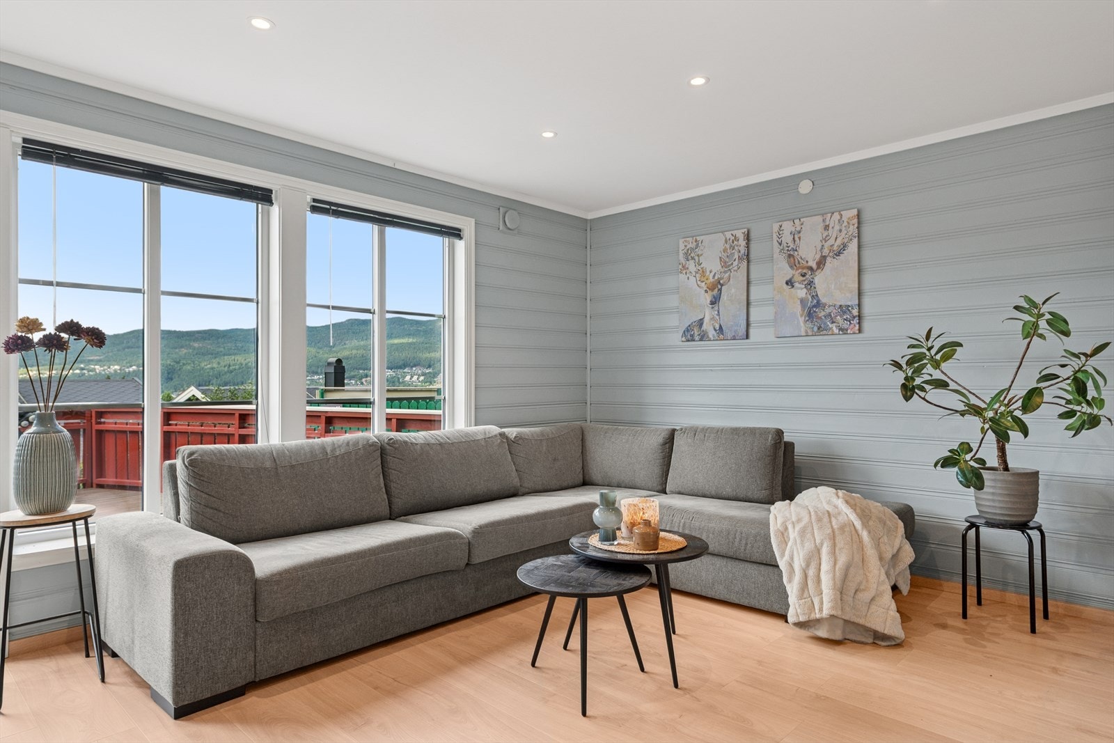 Trivelig sofagruppe for filmkvelder med familien og gode venner. Galleribilde