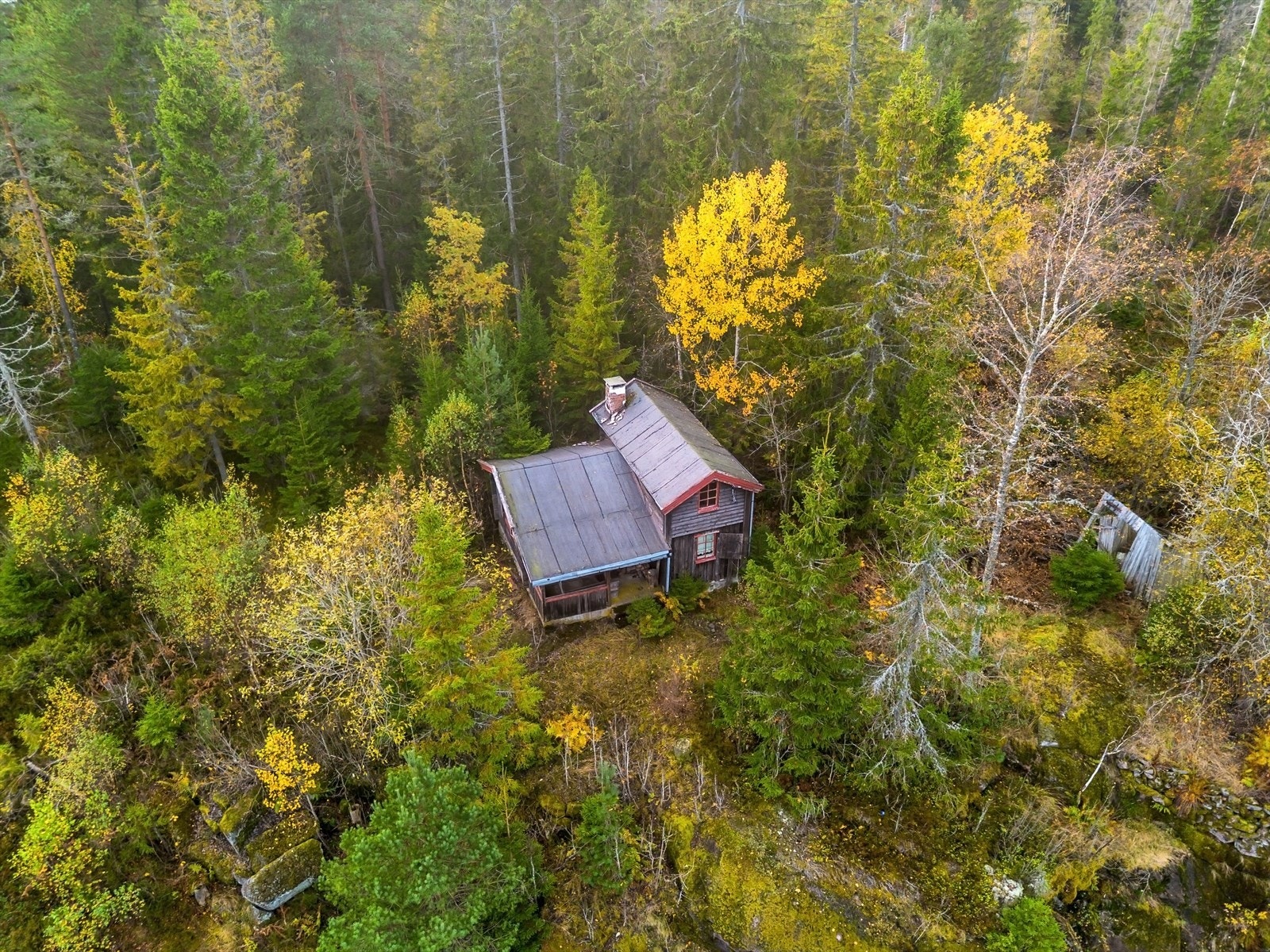 Det er en eldre utedo på eiendommen som er å betegne som kondemnabel Galleribilde