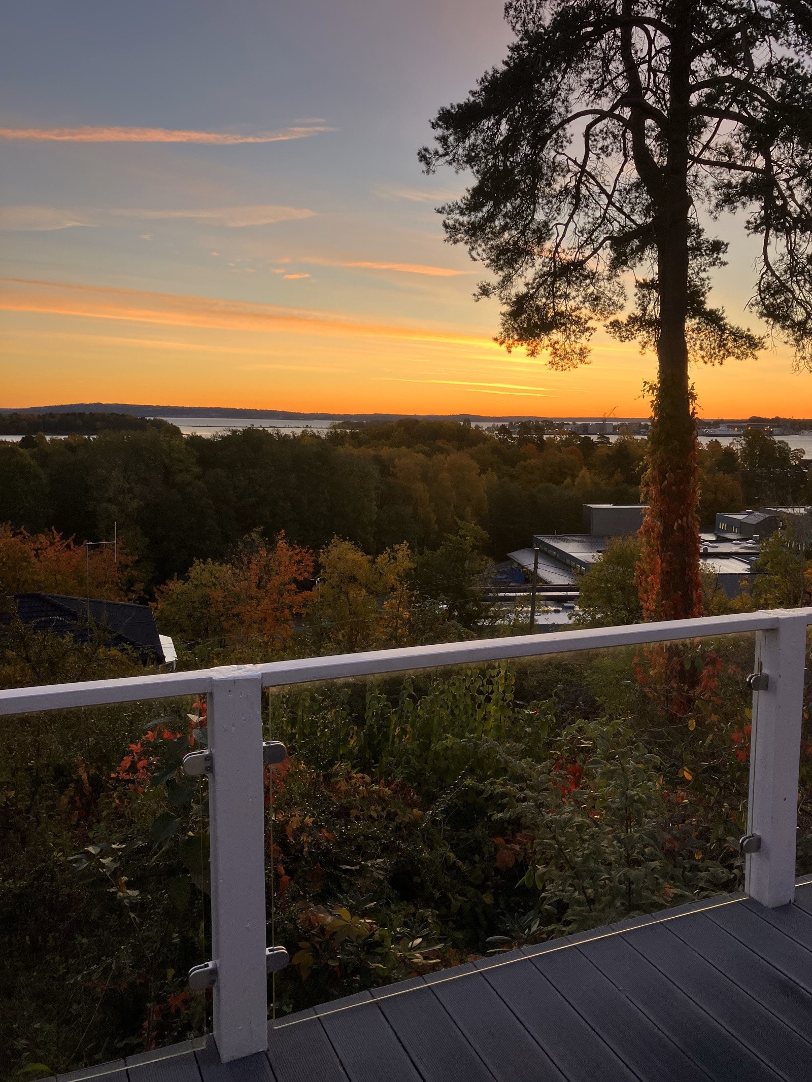 Solnedgang i Barlindveien Galleribilde