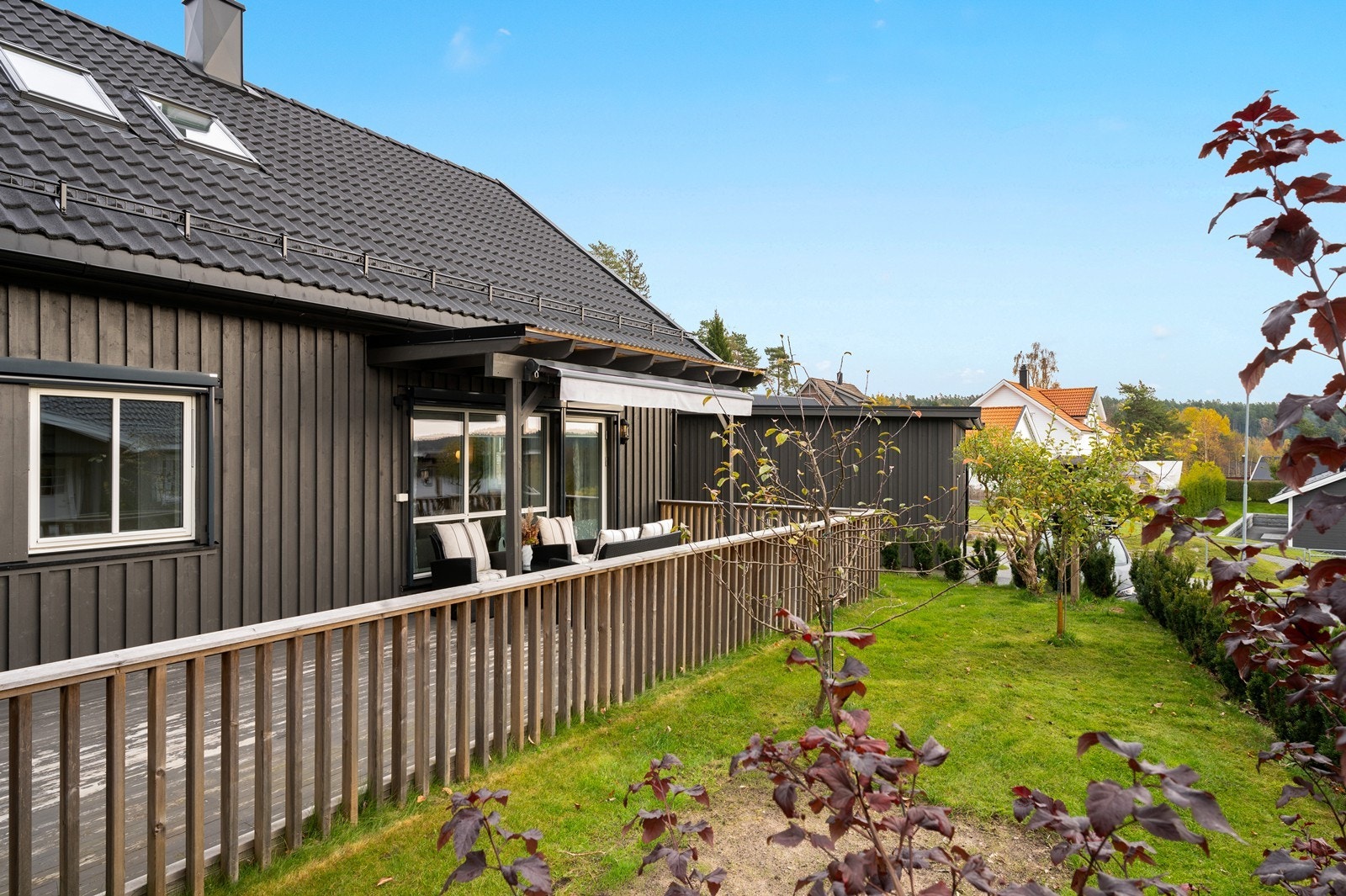 Pent opparbeidet hage med gressplen, trær og hekk Galleribilde