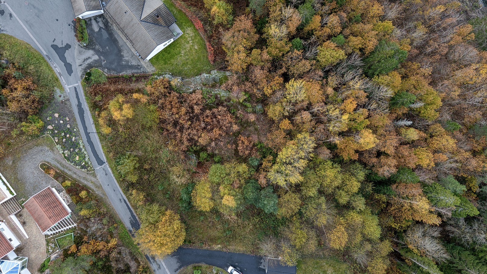 DJI_20251030122727_0091_D_HDR Galleribilde