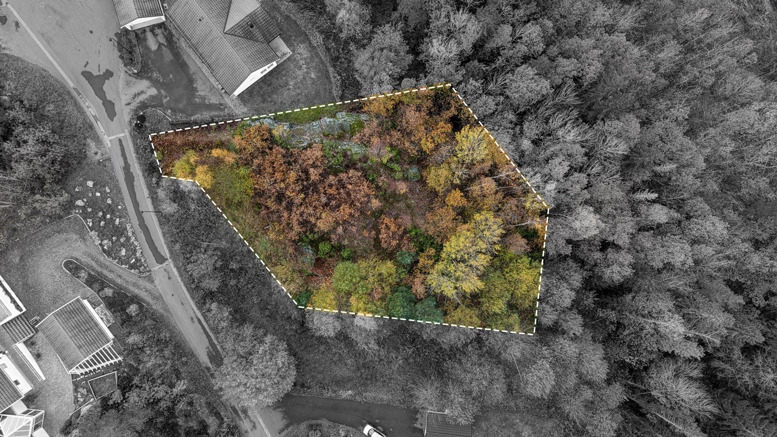 DJI_20251030122727_0091_D_HDR Galleribilde