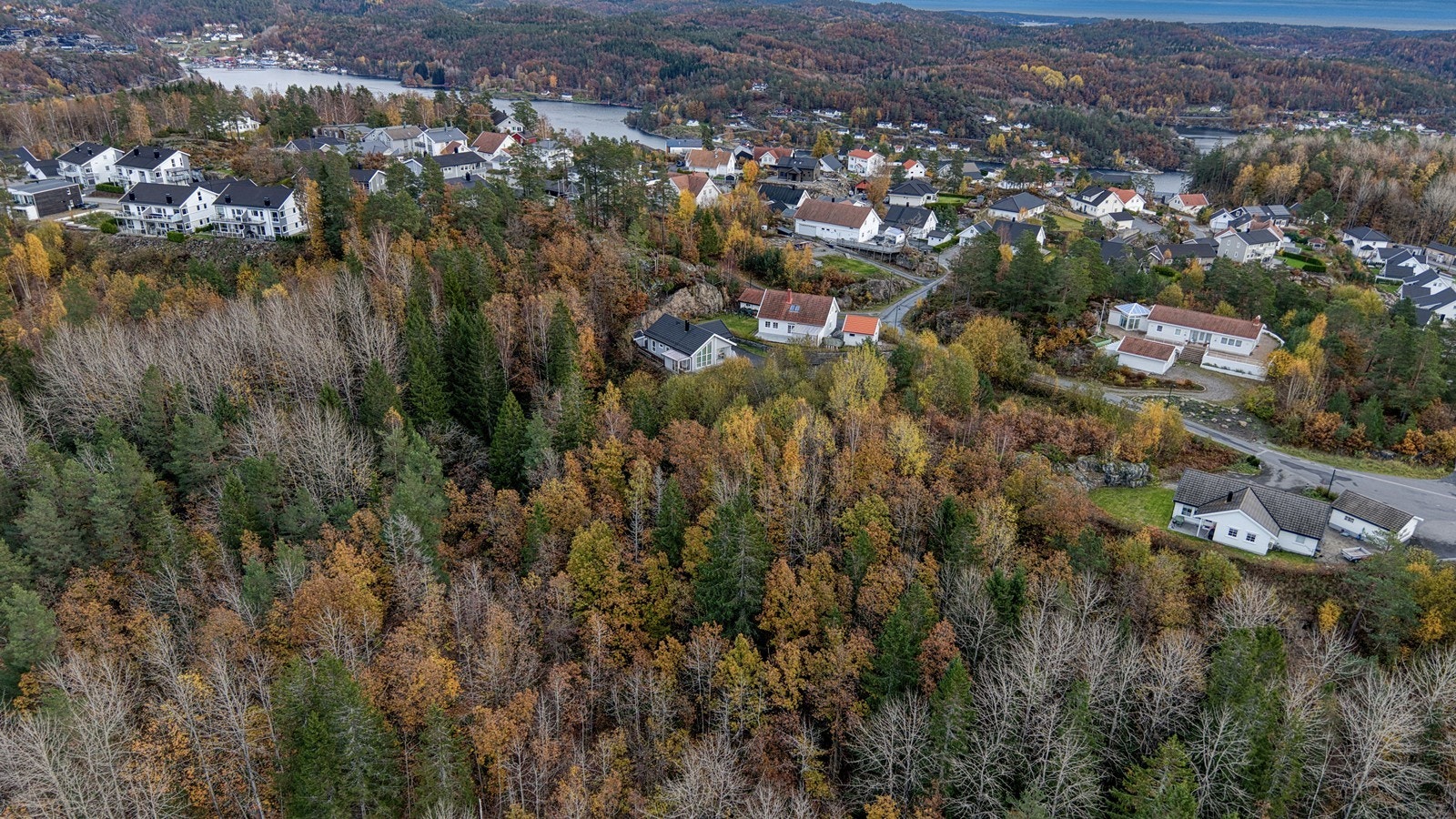 DJI_20251030122620_0081_D_HDR Galleribilde