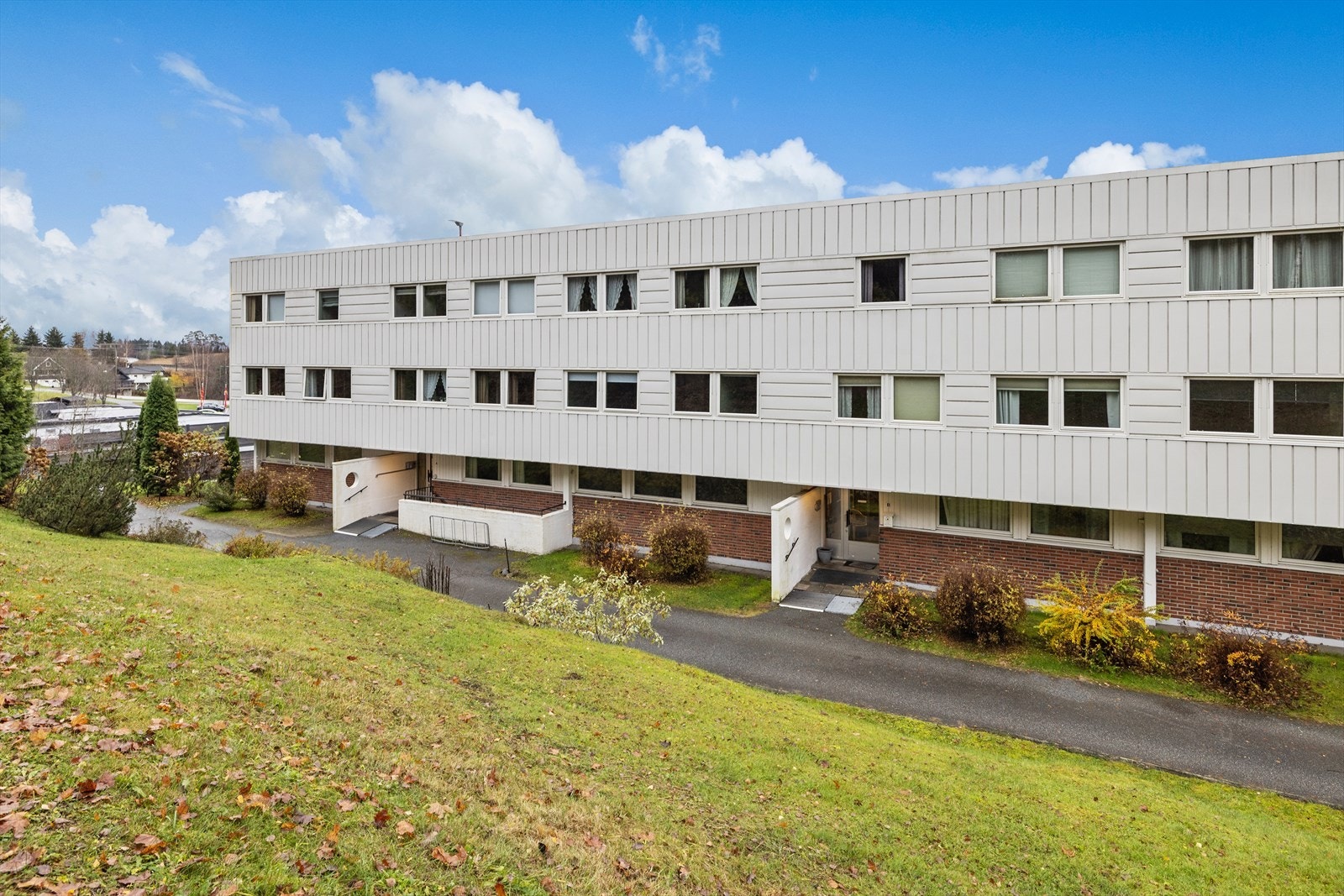 Asfalt adkomst Galleribilde