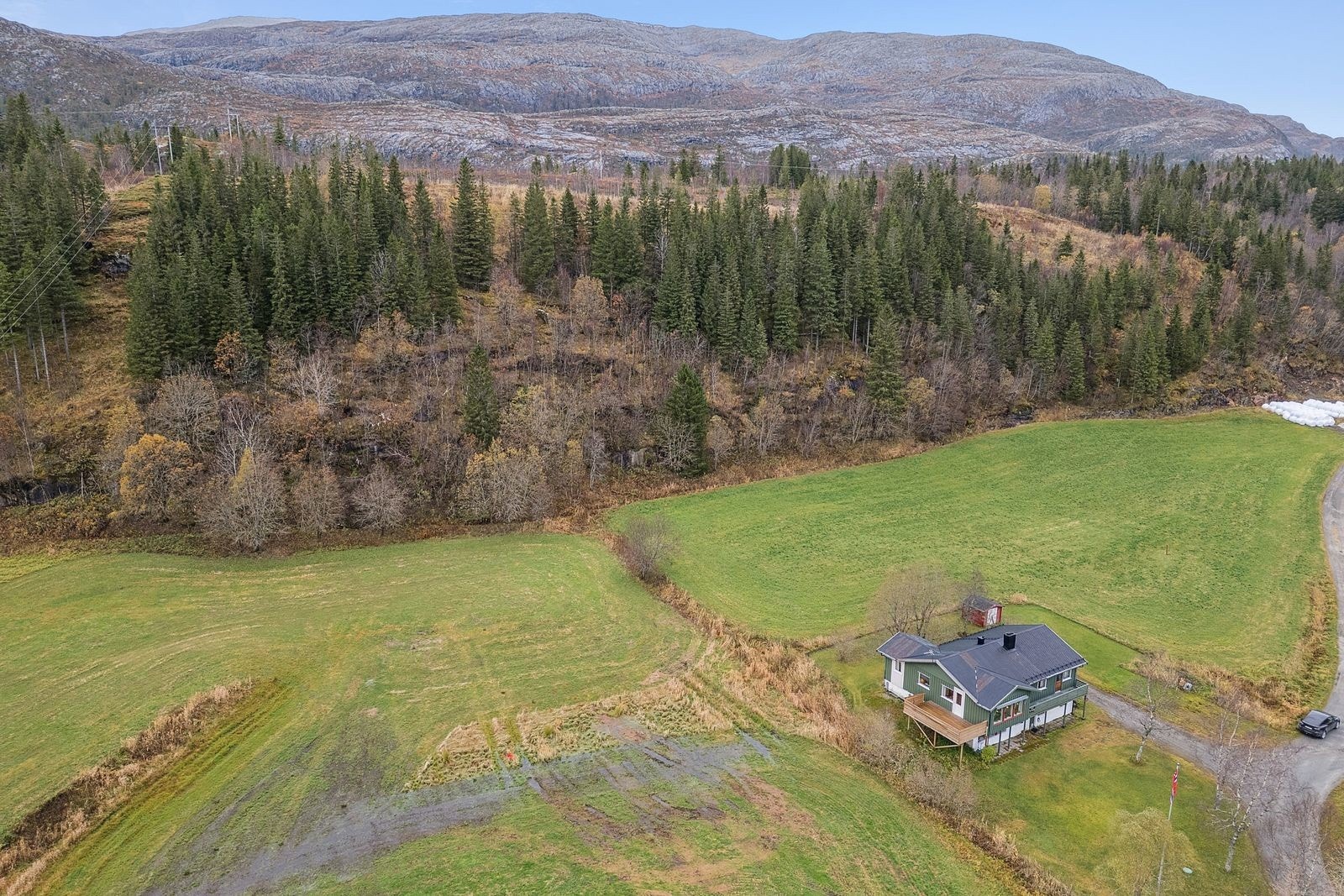 Velkommen til visning! Galleribilde