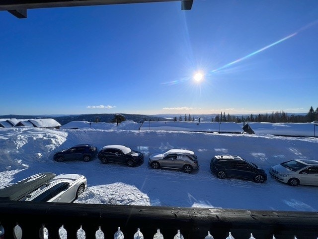 Selgers private bilde. Galleribilde