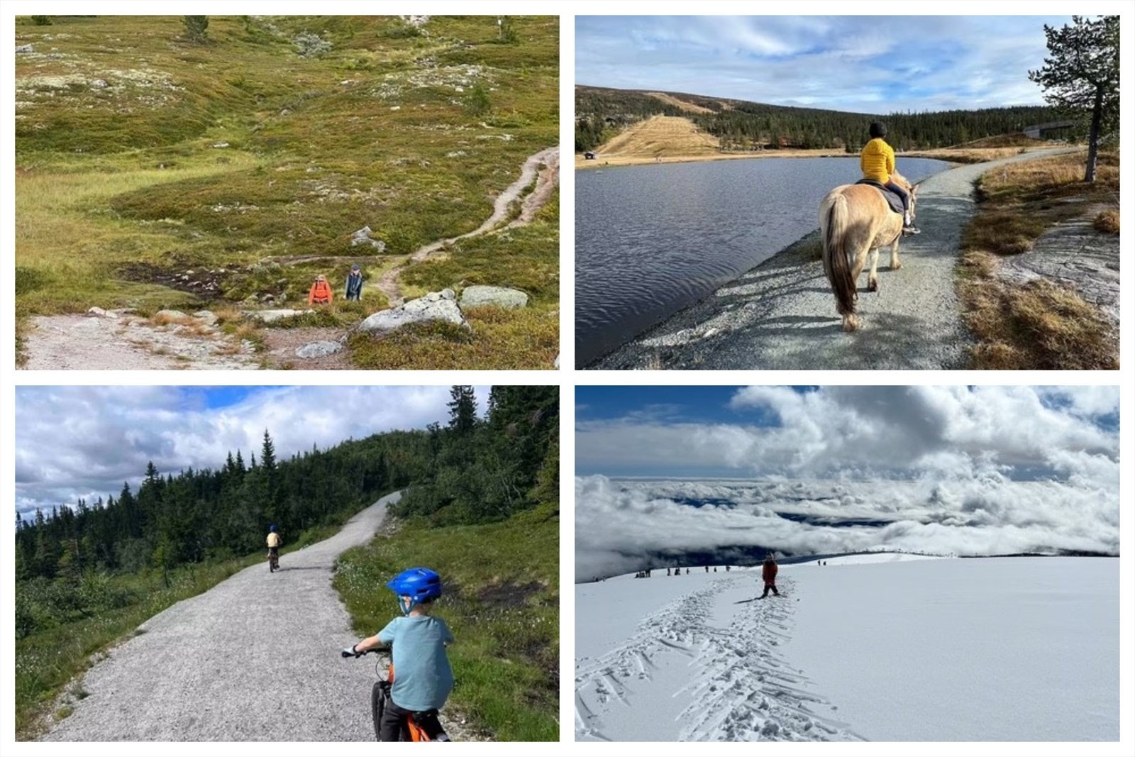 Selgers private bilder. Galleribilde