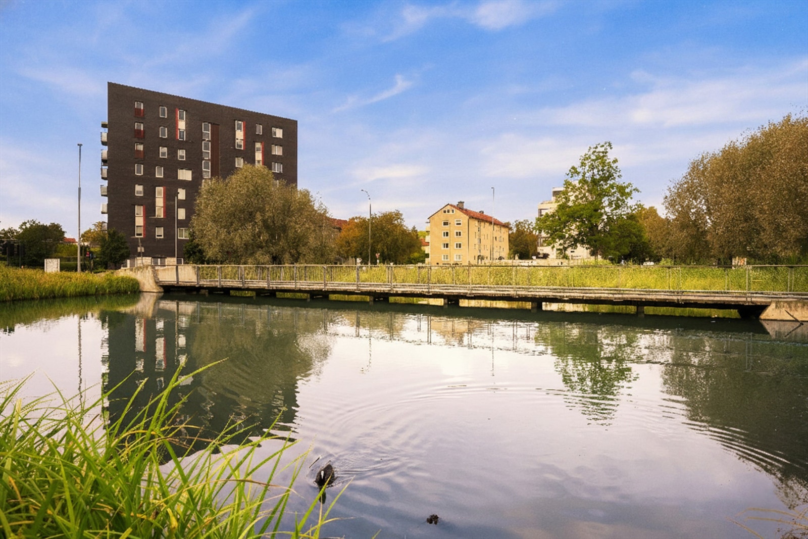 Store flotte grøntområder og rekreasjonsmuligheter med bl.a. Valle Hovin med andedammen, Teglverksdammen, Tøyenparken med nye Tøyenbadet, Kampen Park og Botanisk hage. Galleribilde