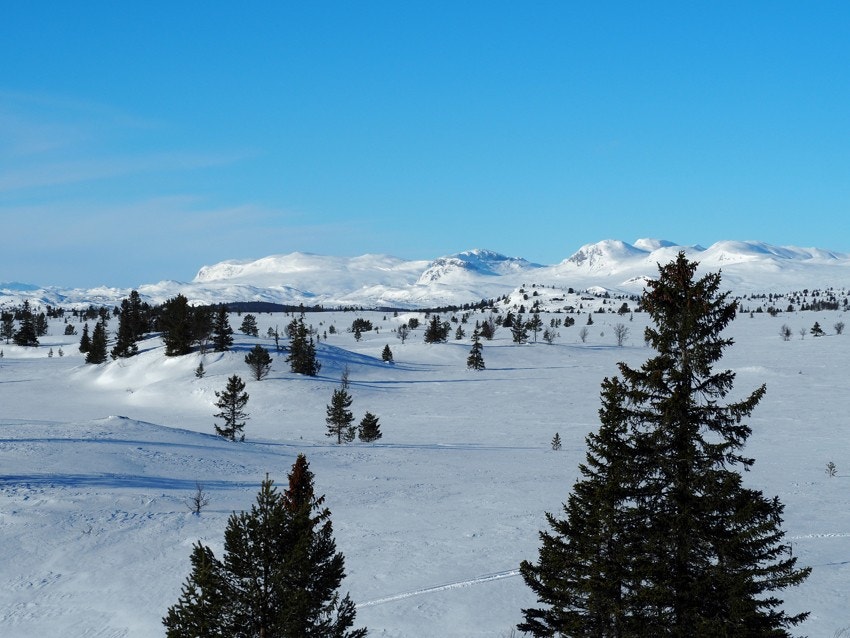 Om vinteren er det preparerte skisporene tar deg enten bort til Liatoppen eller innover fjellheimen. Galleribilde
