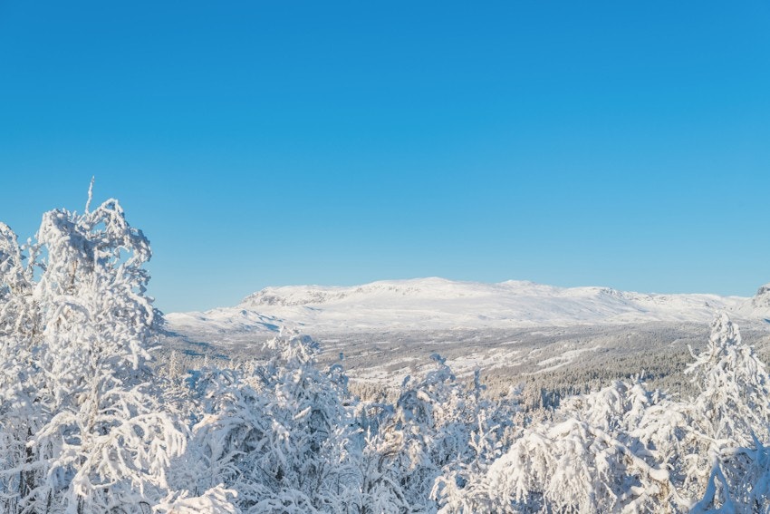 VInterparadis! Galleribilde