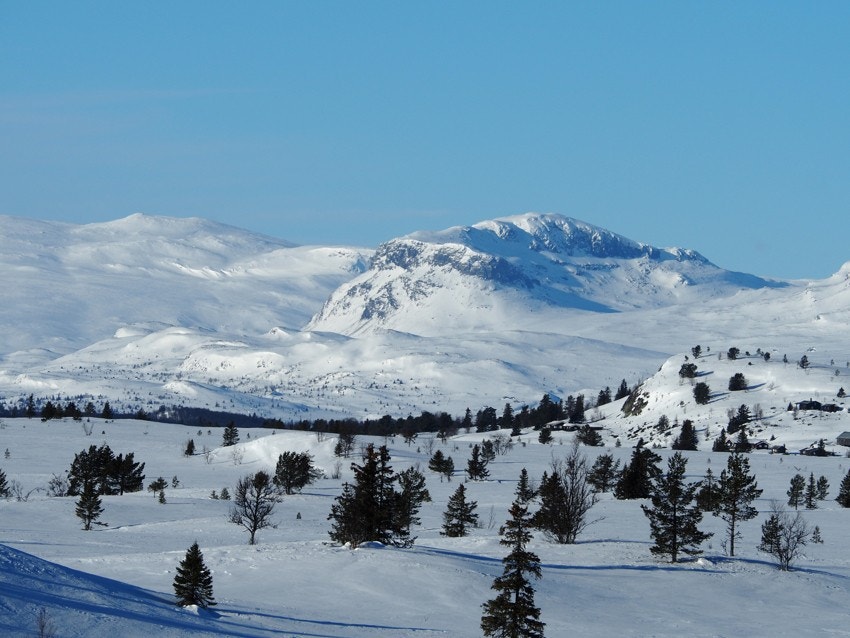 Vinterparadis Galleribilde