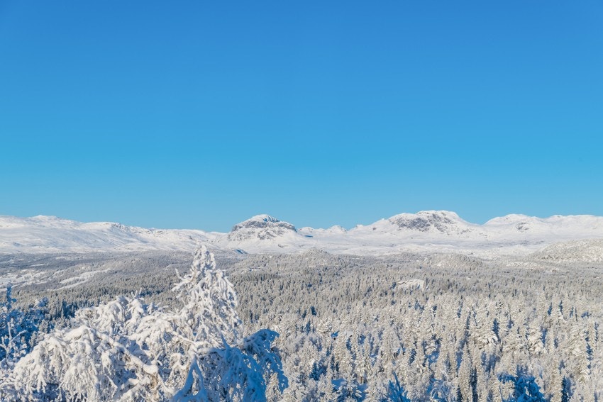 Sletthovdun 129_22 Galleribilde