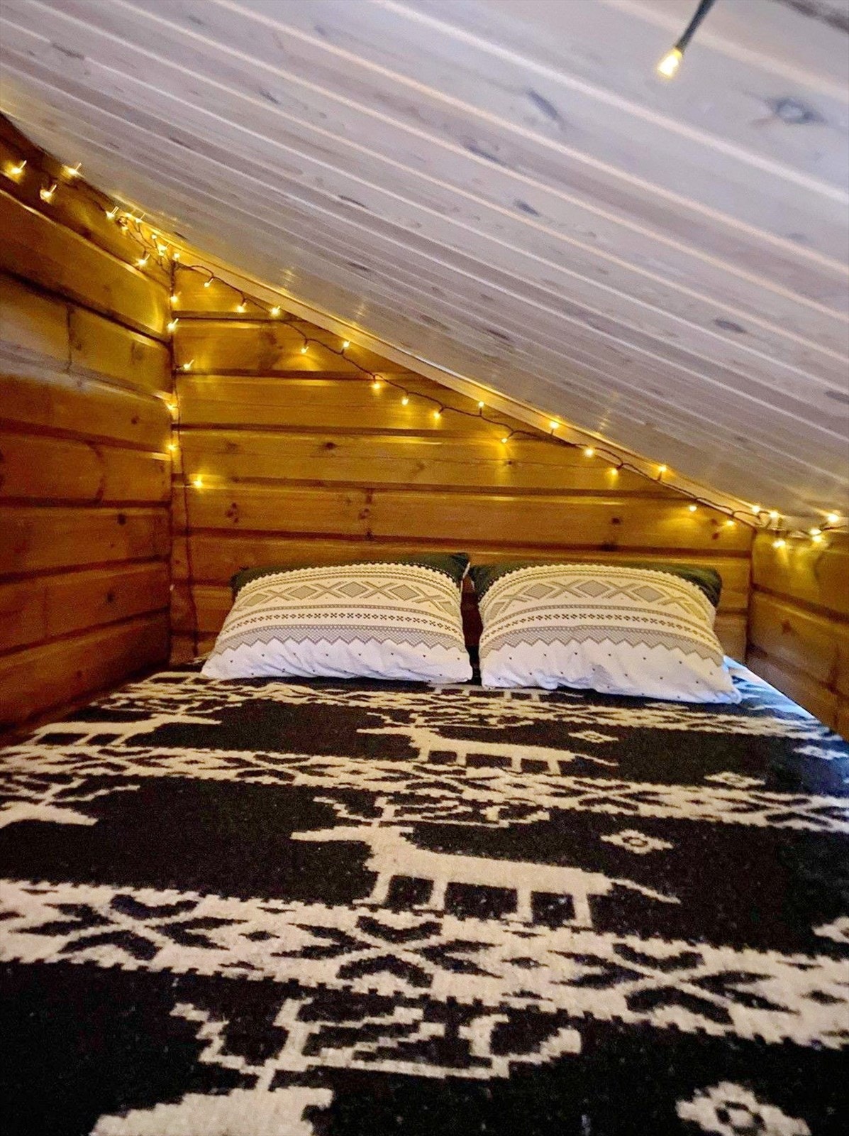 01Fasade_15.jpg Galleribilde