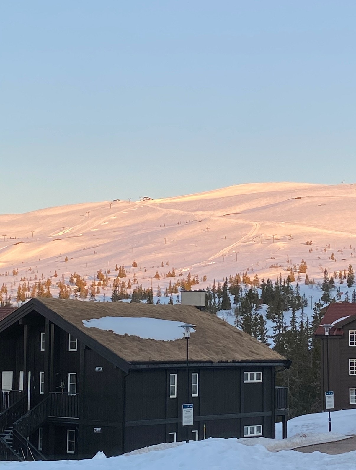 Selgers private bilde. Galleribilde