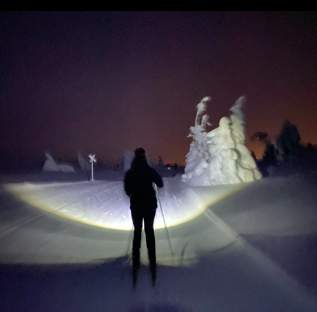 Selgers private bilde. Galleribilde