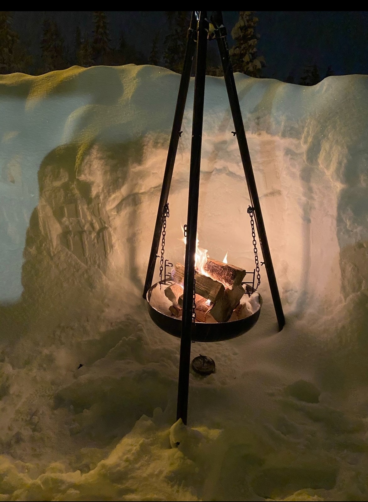 Selgers private bilde. Galleribilde