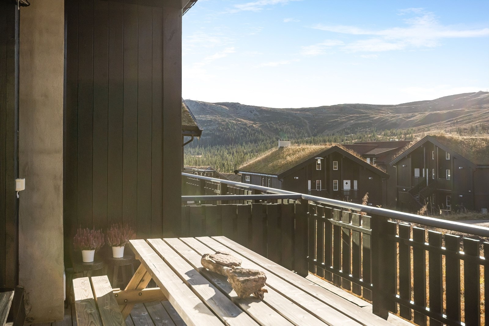 Beliggenheten mot syd sørger for gode solforhold! Galleribilde