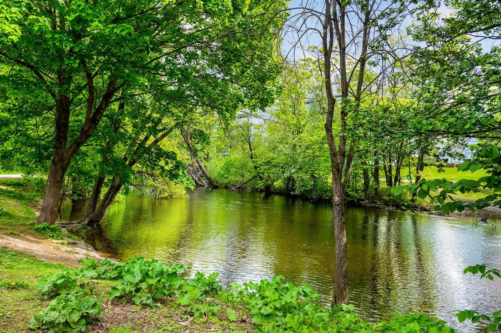 Mange fine turmuligheter langs Akerselva rett utenfor boligen Galleribilde