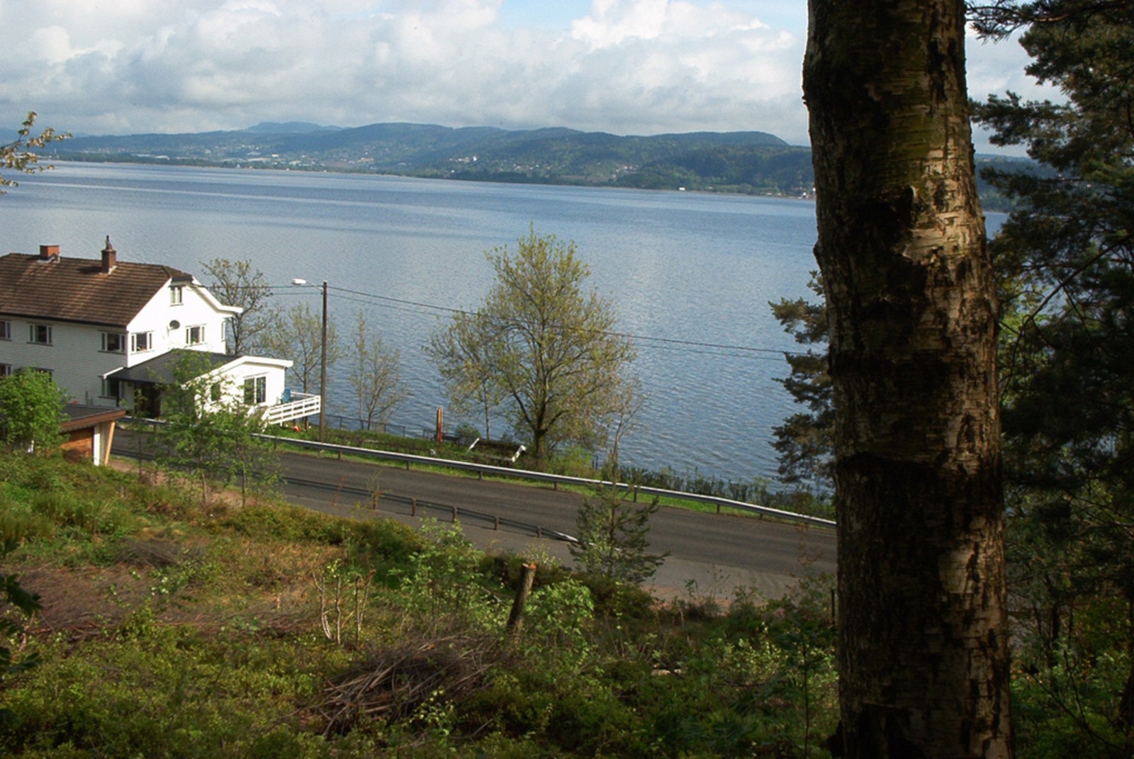 Selgers bilde fra tomten. Galleribilde