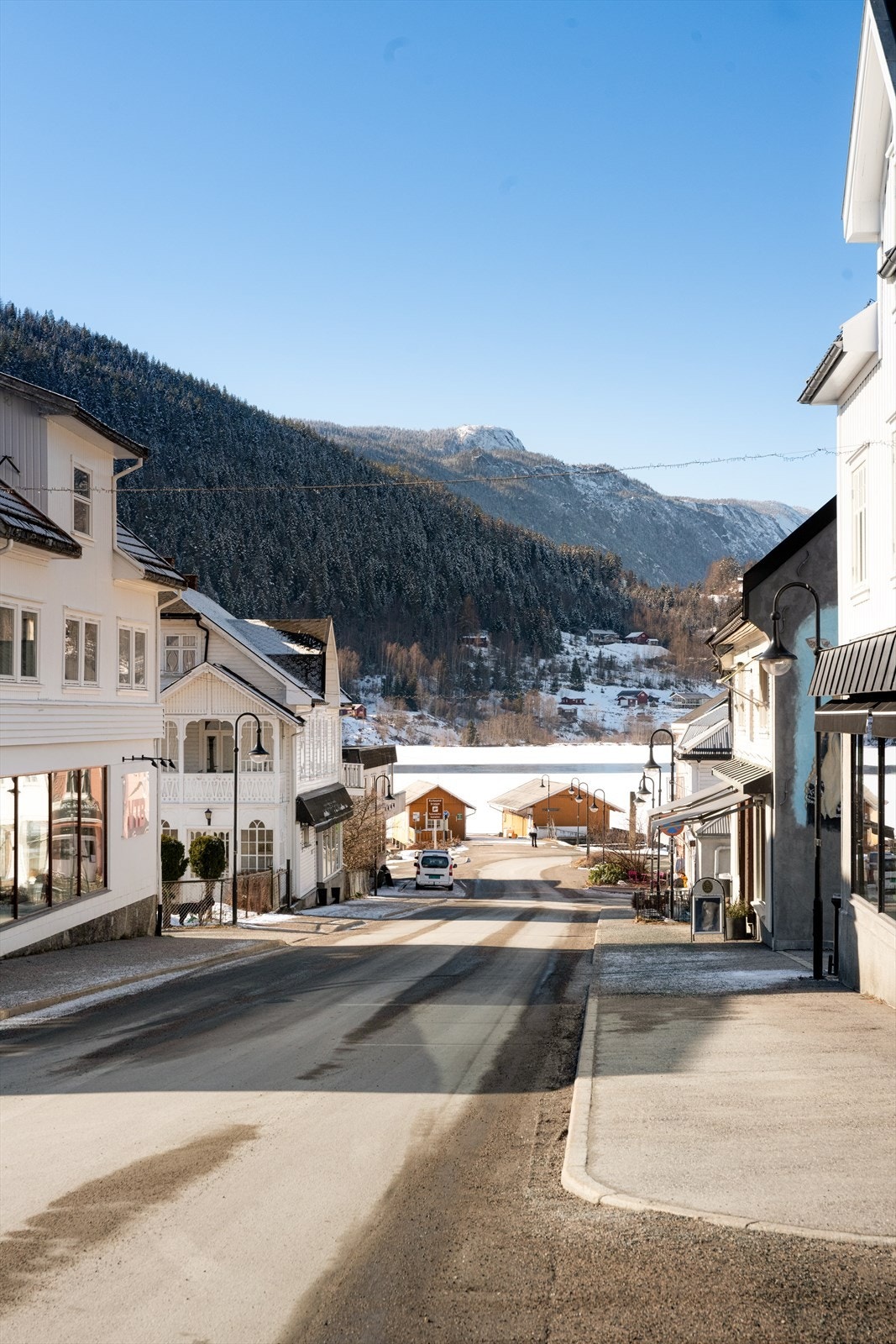 Kviteseid sentrum kan blant annet by på bank, apotek, frisør, dagligvare og butikker, samt flere hyggelige spisesteder hvor man kan nyte god mat og drikke sommerstid. Galleribilde