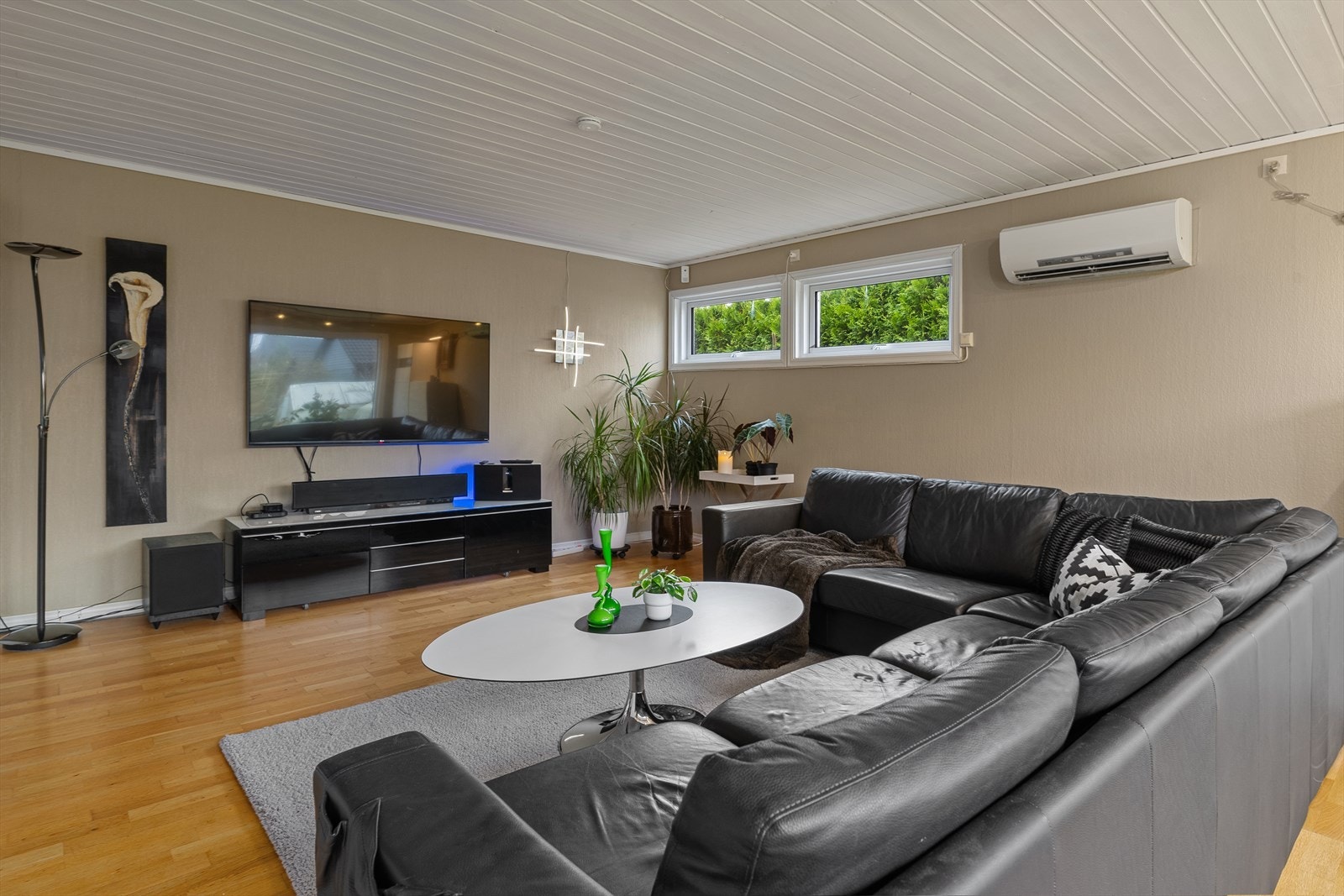 Tv-stue Galleribilde