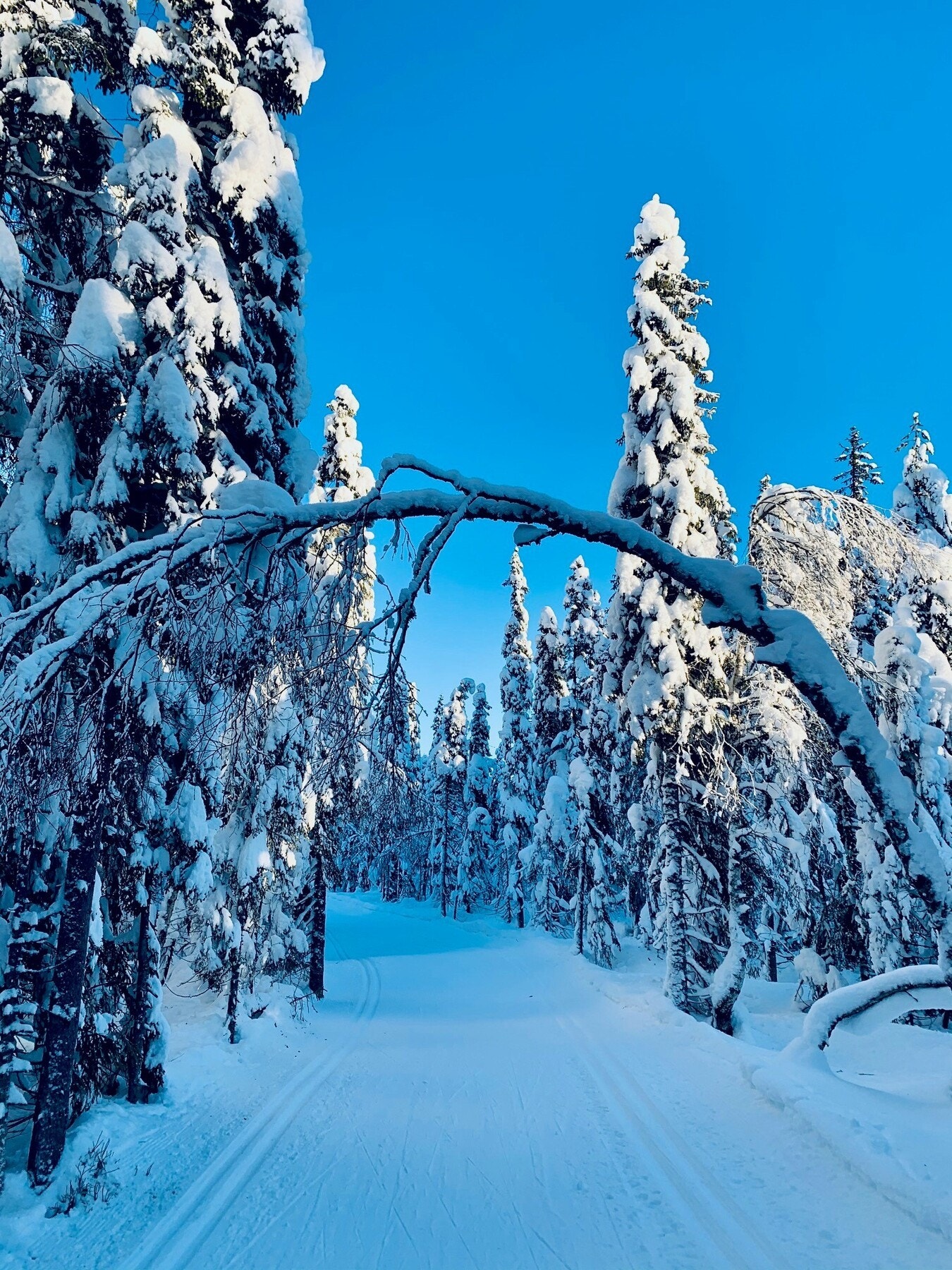 Er du glad i friluftsliv, ski-/, sykkel-/ eller spaserturer i marka? Mulighetene i Nordmarka er fantastiske, og inngangsporten til flotte små og store eventyr ligger bare noen få minutter fra Setra vei