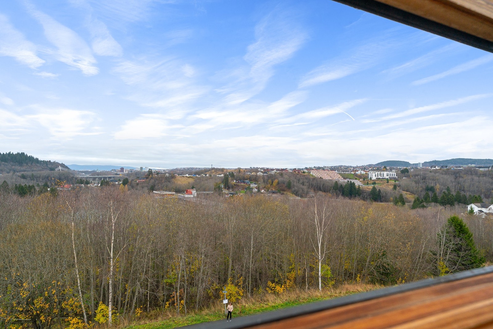 Herlig utsikt fra stuevinduet. Galleribilde