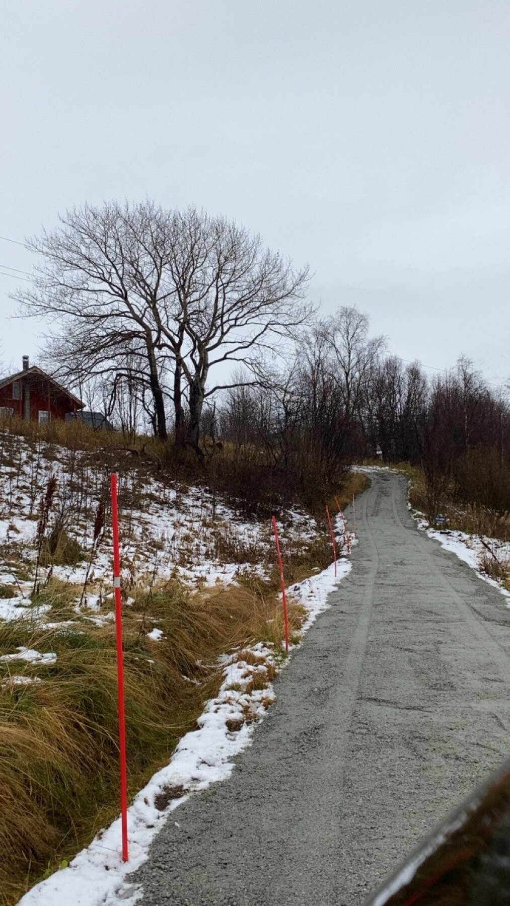 Veien opp til eiendommen har blitt planert og utbedret september 2025 Galleribilde