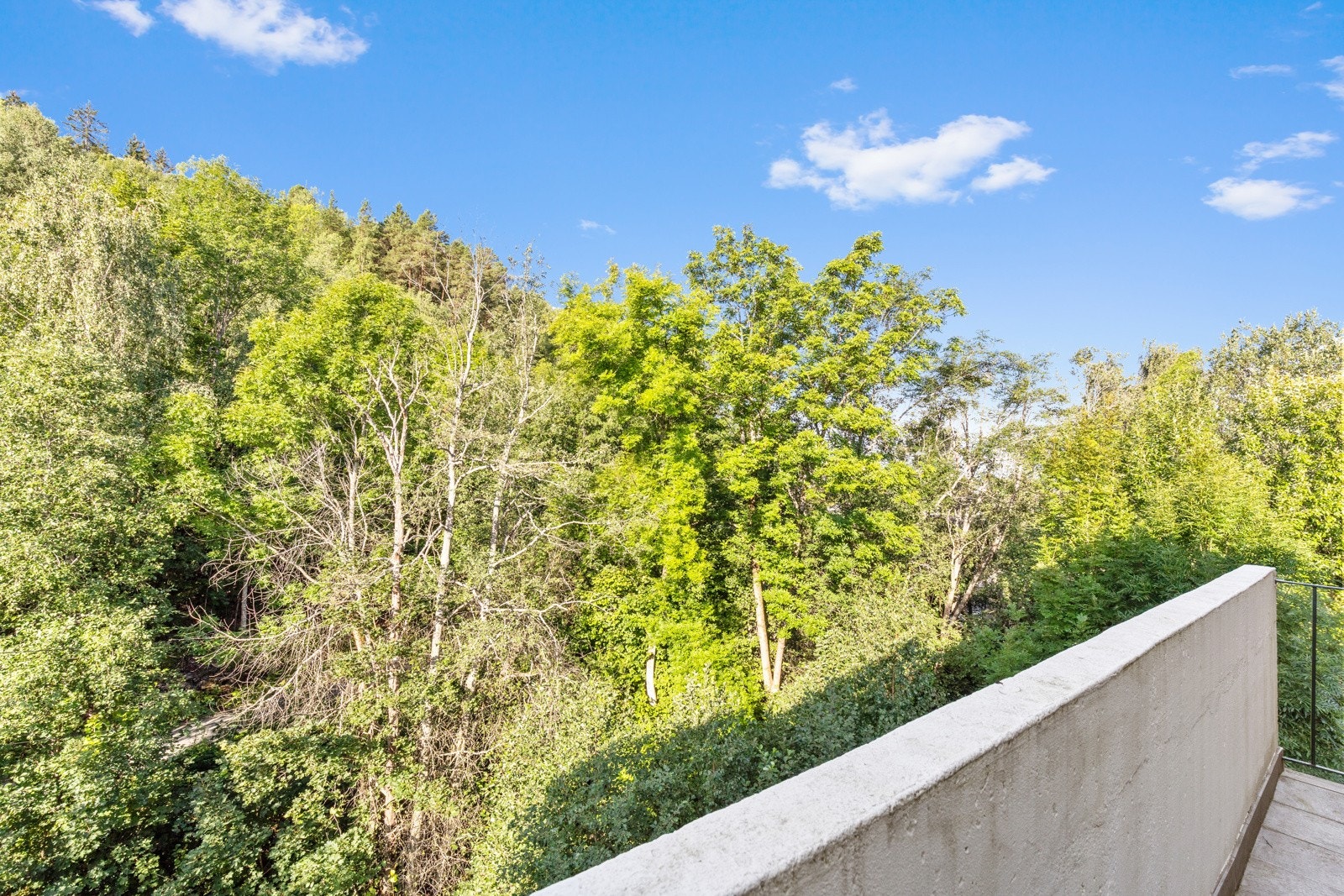 Her ligger du rolig till ut mot marka. Galleribilde