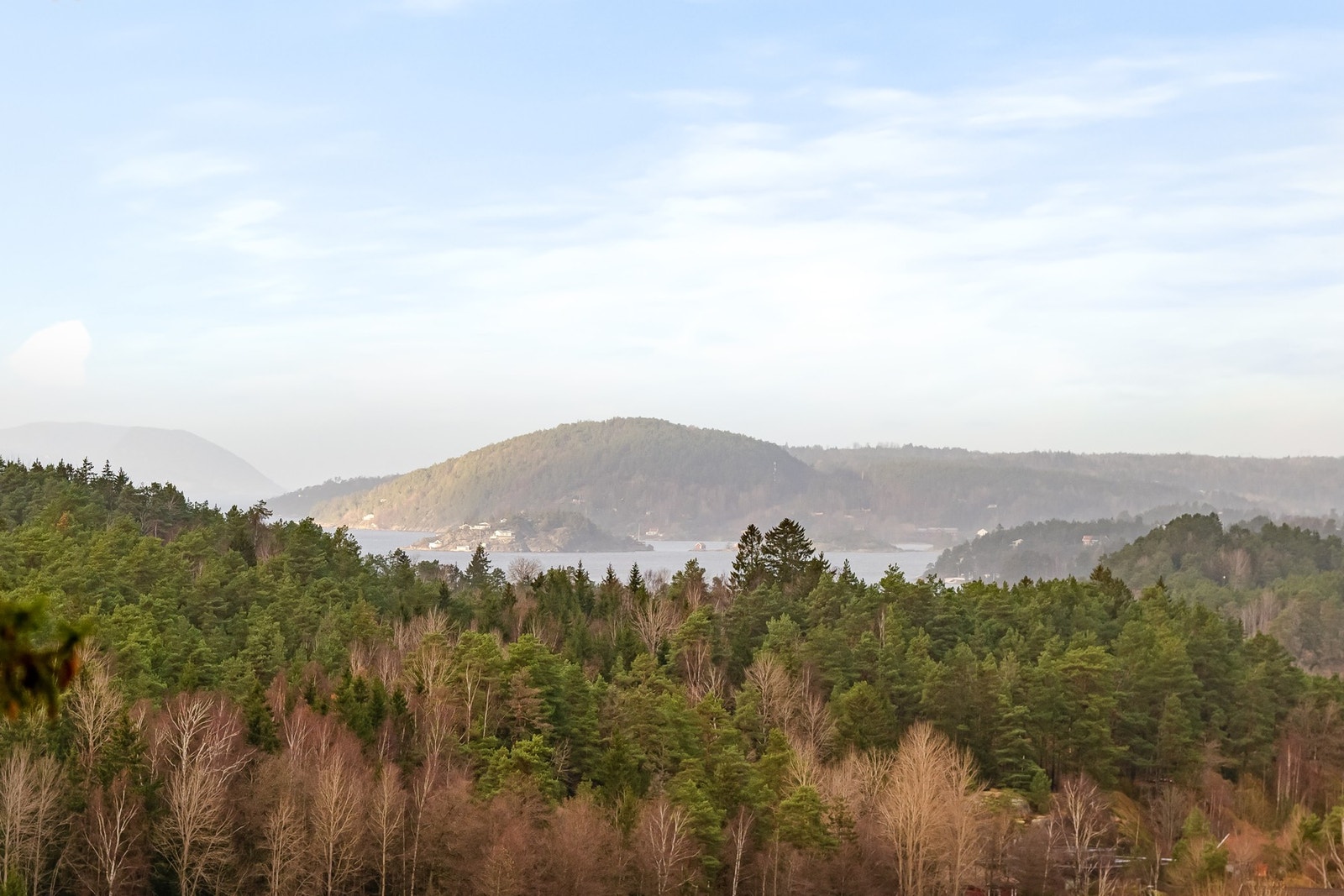 Utsyn over skog og fjord - sjøgløtt rett fra balkongen Galleribilde