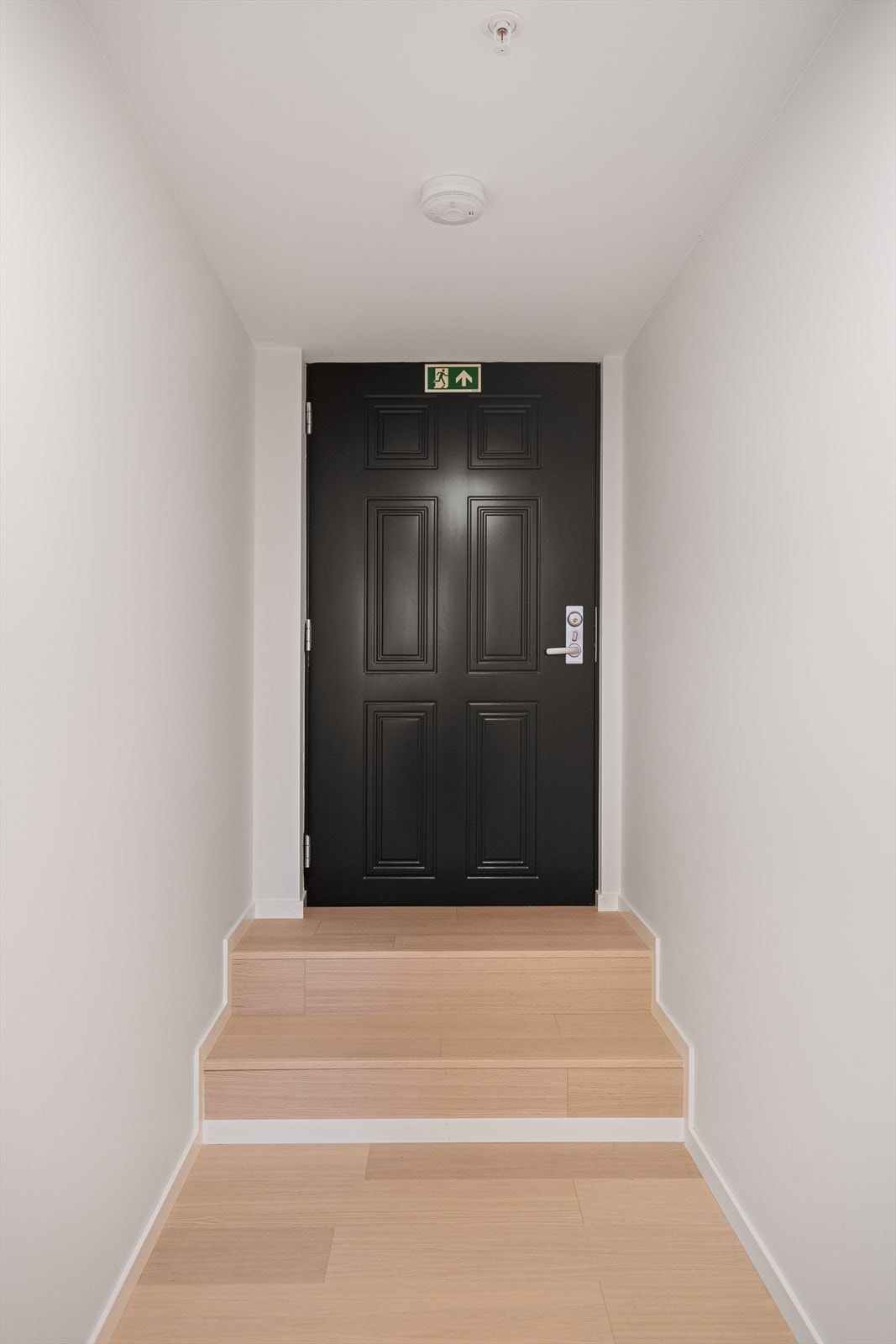 Felles gang Galleribilde