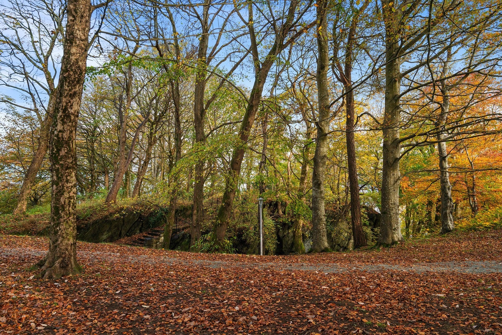 Umiddelbar nærhet til Bjergstedparken Galleribilde